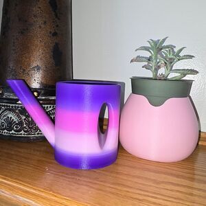 Pink Succulent Flower Pot Plant Vase Purple Ombre Stripe Water Can 3D Garden Art